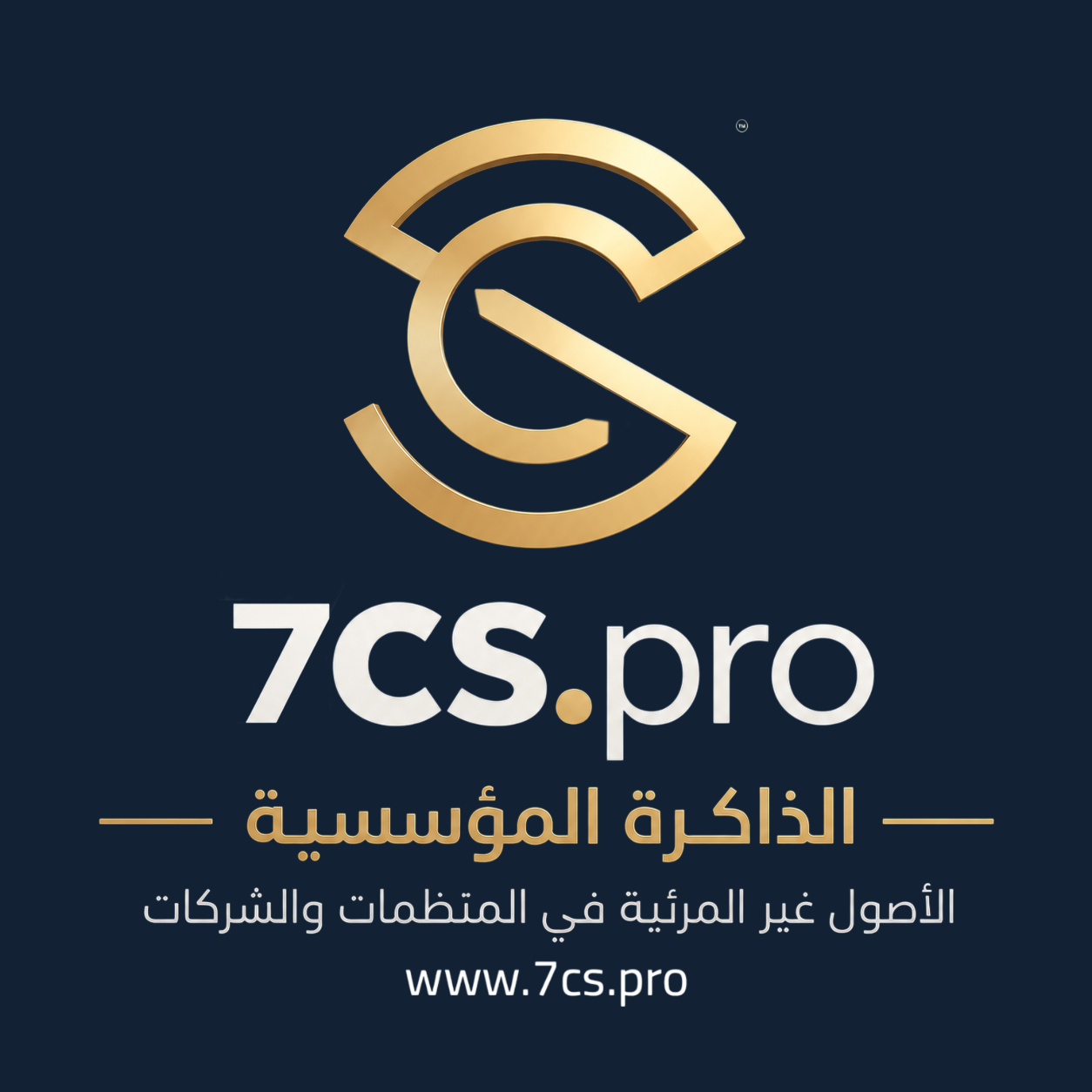 7CS Logo